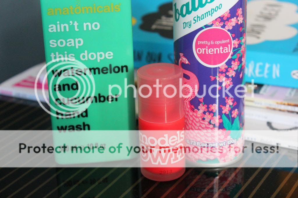 photo IMG_6655_zps984aa211.jpg