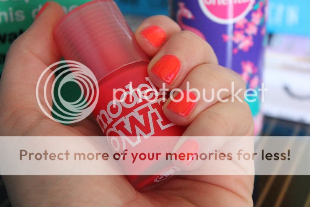 photo IMG_6657_zps66dca84c.jpg