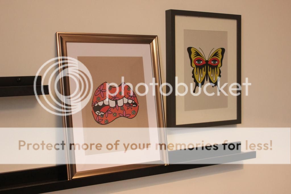  photo IMG_7826_zpsgfnkg6oy.jpg