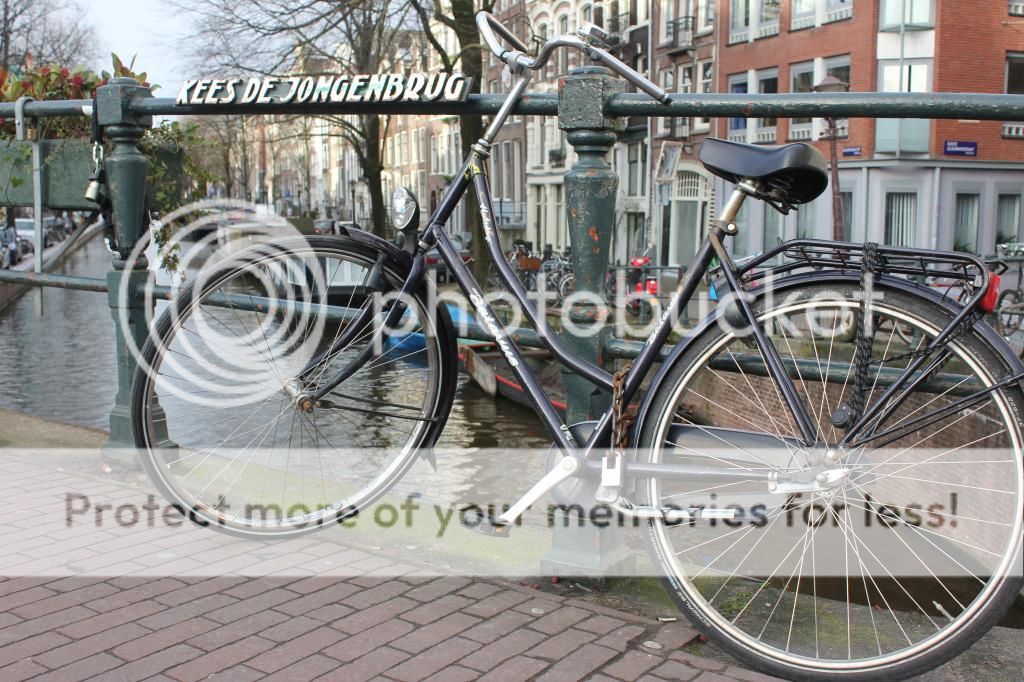  photo IMG_7898_zpshhcdb2bu.jpg