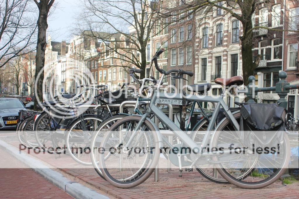  photo IMG_7902_zpsjjwfabbz.jpg
