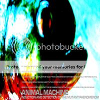 animal machine