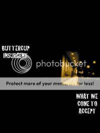 buttercup insurgent