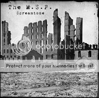 the m.s.p.