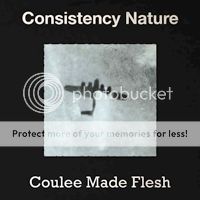consistency nature