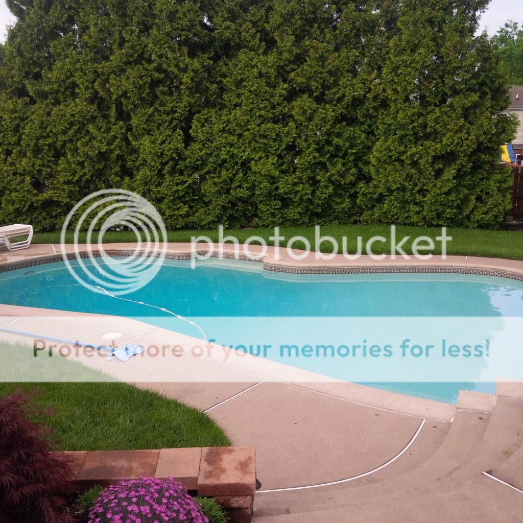 just opened fishy smell Trouble Free Pool