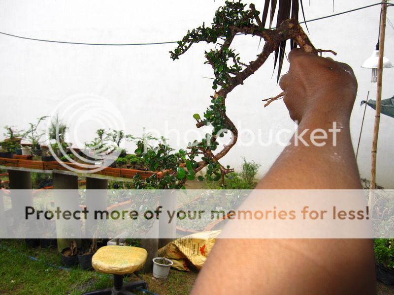 photo IMG_1943_zps893d6f76.jpg