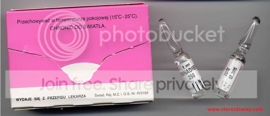 best steroid shop uk
